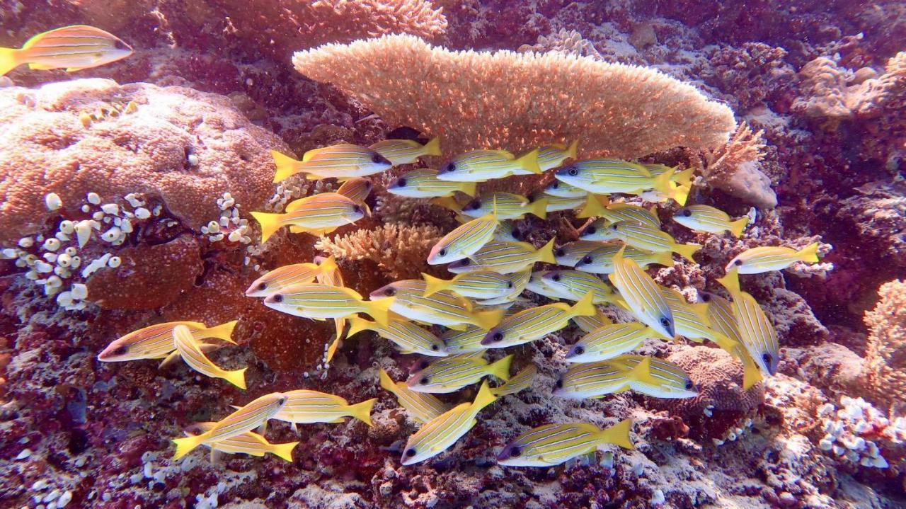 Wow Inn Keyodhoo Keyodhoo  Dış mekan fotoğraf