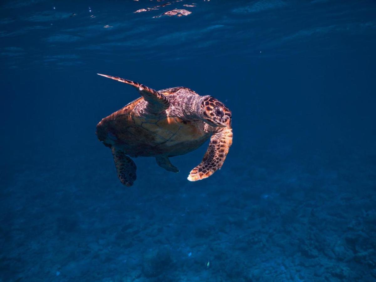 Wow Inn Keyodhoo Keyodhoo  Dış mekan fotoğraf