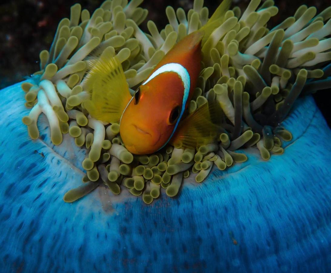 Wow Inn Keyodhoo Keyodhoo  Dış mekan fotoğraf
